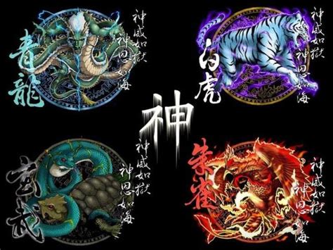 青龍白虎|四大神獸(四神獸):起源,青龍,來歷,地名,年號,區別,白虎,來歷,象徵,。